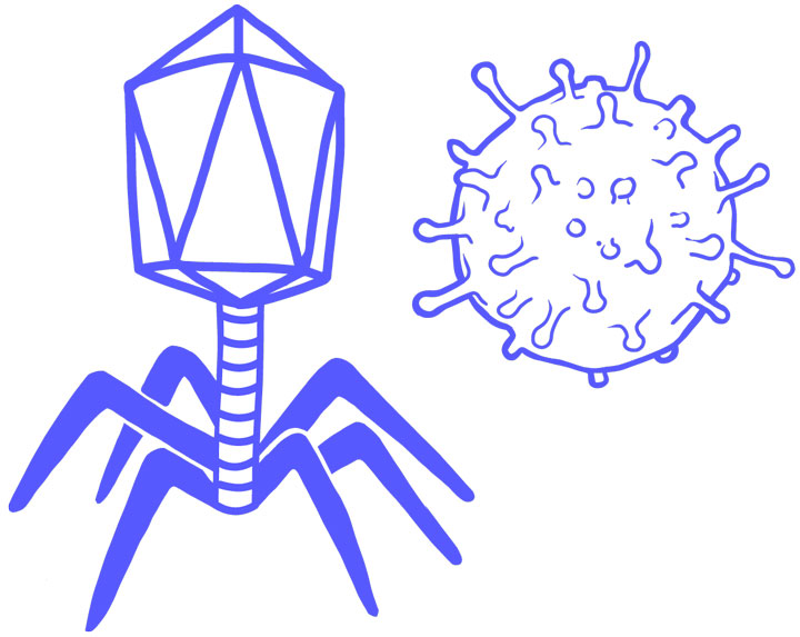 噬菌体病毒png图片免抠素材材质贴图ui设计表情包简笔画插画更多样机