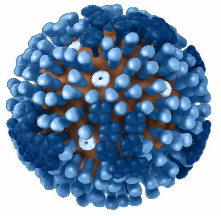 高清3D流感病毒病原体png图片免抠素材 健康医疗-第1张