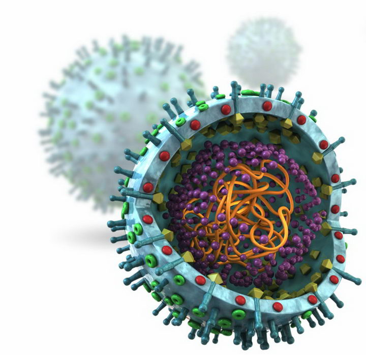 3D病毒病原体内部结构图png图片免抠素材 健康医疗-第1张