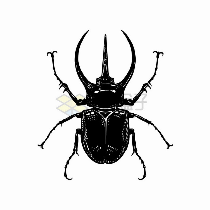 三个角的甲虫昆虫黑白插画png图片免抠矢量素材 生物自然-第1张