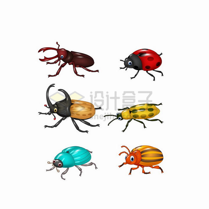 锹甲虫简笔画彩色图片