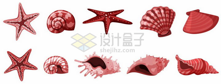 红色海星海螺扇贝等海洋生物png图片免抠矢量素材 生物自然-第1张