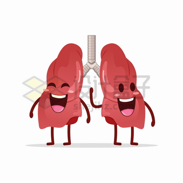 可爱的卡通肺部人体器官组织png图片素材 健康医疗-第1张