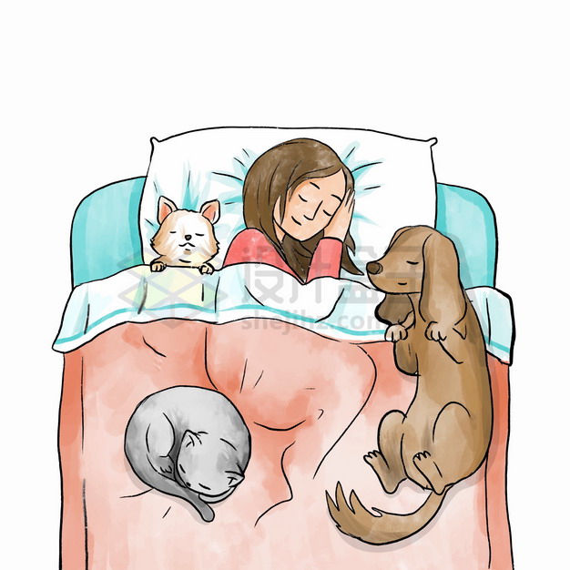 卡通女孩和狗狗猫咪在一张床上睡觉宠物彩绘插画png图片素材 休闲娱乐-第1张