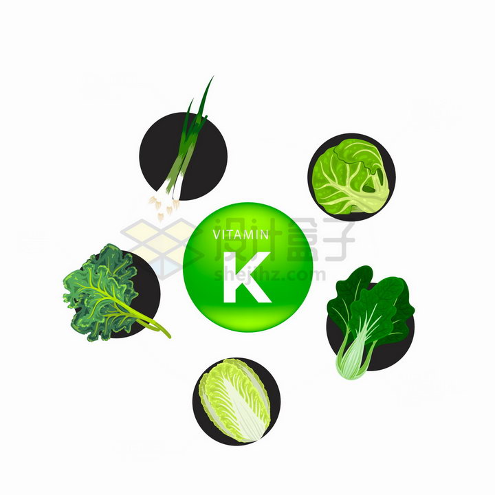 香葱包菜青菜菠菜白菜等富含维生素K的蔬菜png图片免抠矢量素材 健康医疗-第1张