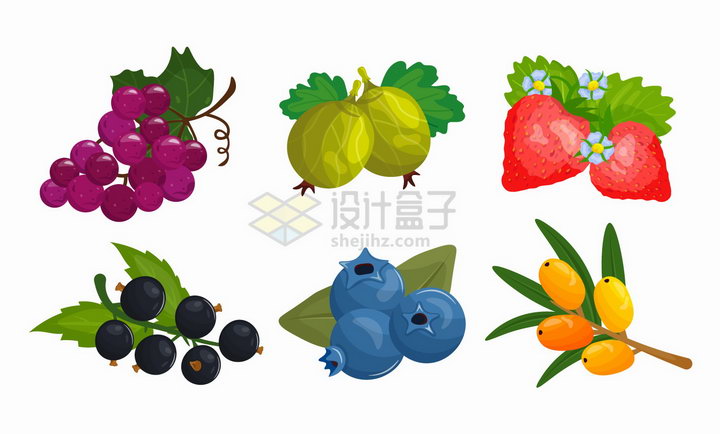 葡萄石榴草莓蓝莓等美味水果png图片免抠矢量素材 生活素材-第1张