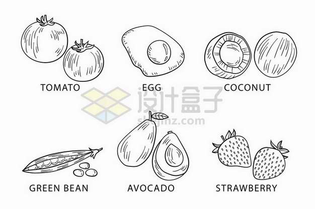 西红柿煎蛋椰子绿豆牛油果草莓等蔬菜水果线条素描插画png图片免抠矢量素材