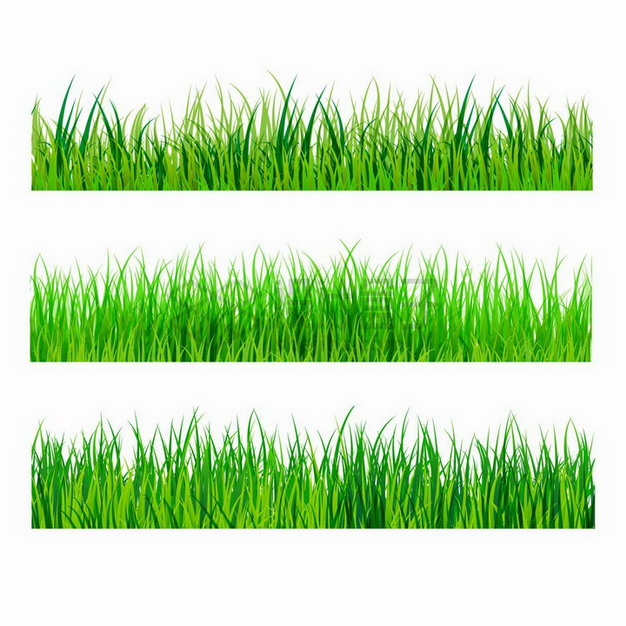 3款逼真的青草地装饰png图片免抠矢量素材 生物自然-第1张