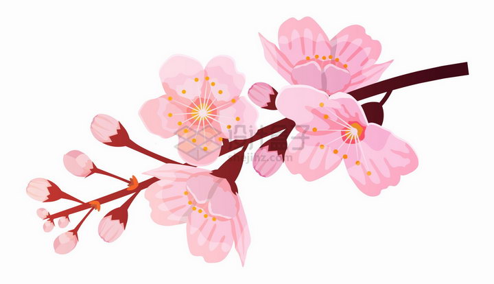 枝头上盛开的粉红色桃花彩绘插画png图片免抠矢量素材 生物自然-第1张