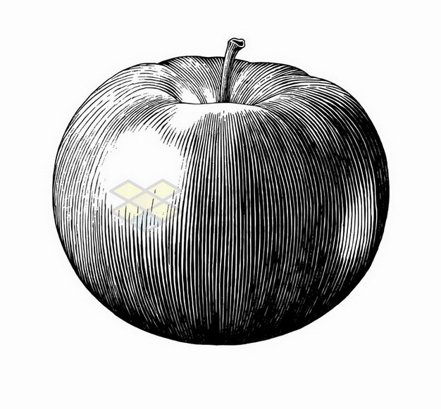 苹果美味水果黑色线条手绘素描插画png图片免抠矢量素材 生活素材-第1张