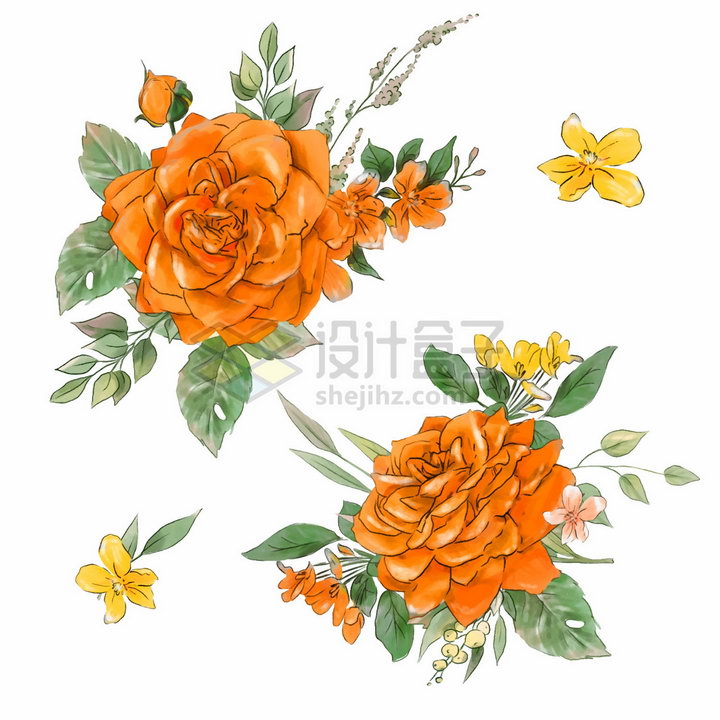 鲜艳的橘色玫瑰花桃花等花朵花苞水彩插画png图片素材 设计盒子