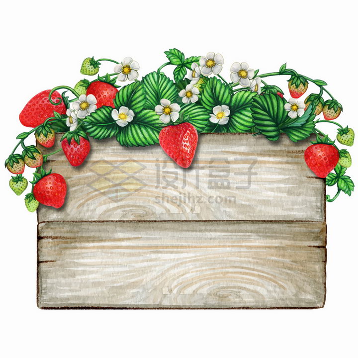 草莓藤蔓装饰的长方形木板标题框水彩插画png图片免抠矢量素材 生物自然-第1张