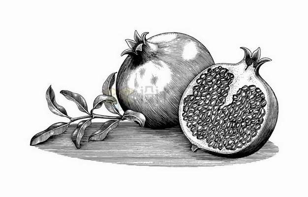 剥开的石榴美味水果黑色线条手绘素描插画png图片免抠矢量素材