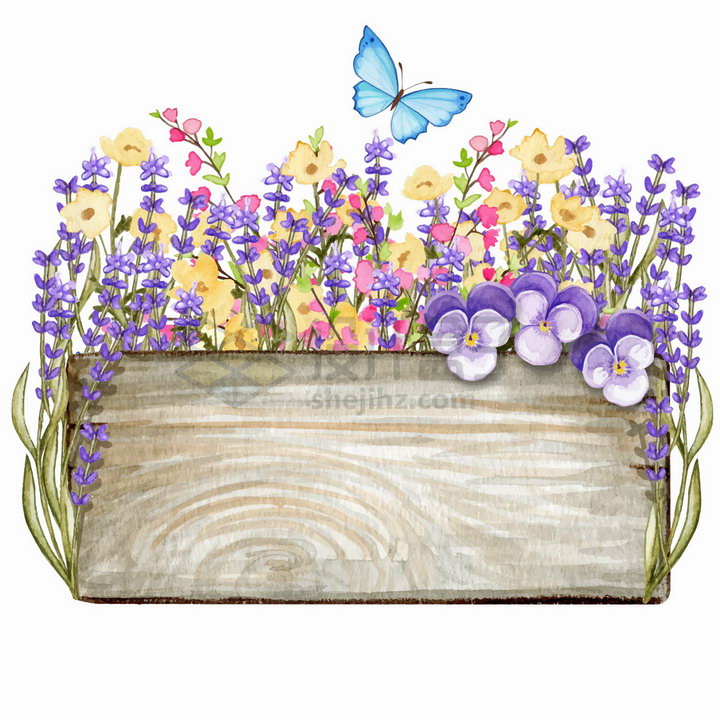 长方形木板和薰衣草蝴蝶兰花朵花卉装饰标题框水彩插画png图片免抠矢量素材 生物自然-第1张