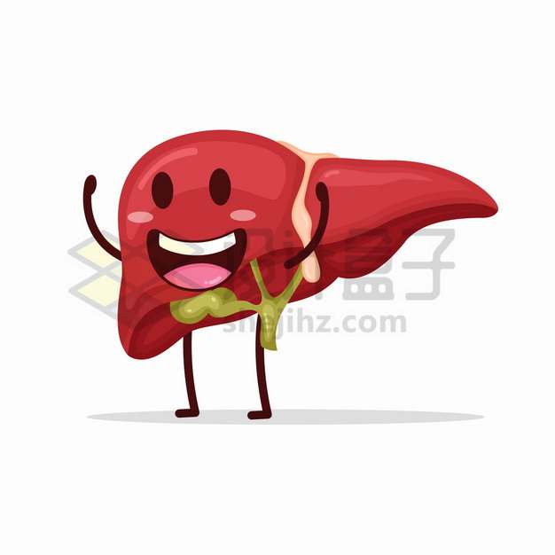 可爱的卡通肝脏人体器官组织png图片素材