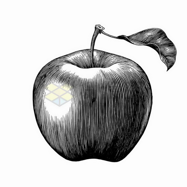 带叶子的苹果美味水果手绘素描插画png图片免抠矢量素材 生活素材-第1张