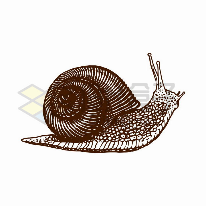 蜗牛装饰画点线面图片