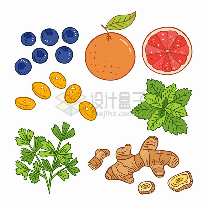 蓝莓橘子橙子薄荷生姜等美味水果调味品手绘插画png图片免抠矢量素材 生活素材-第1张
