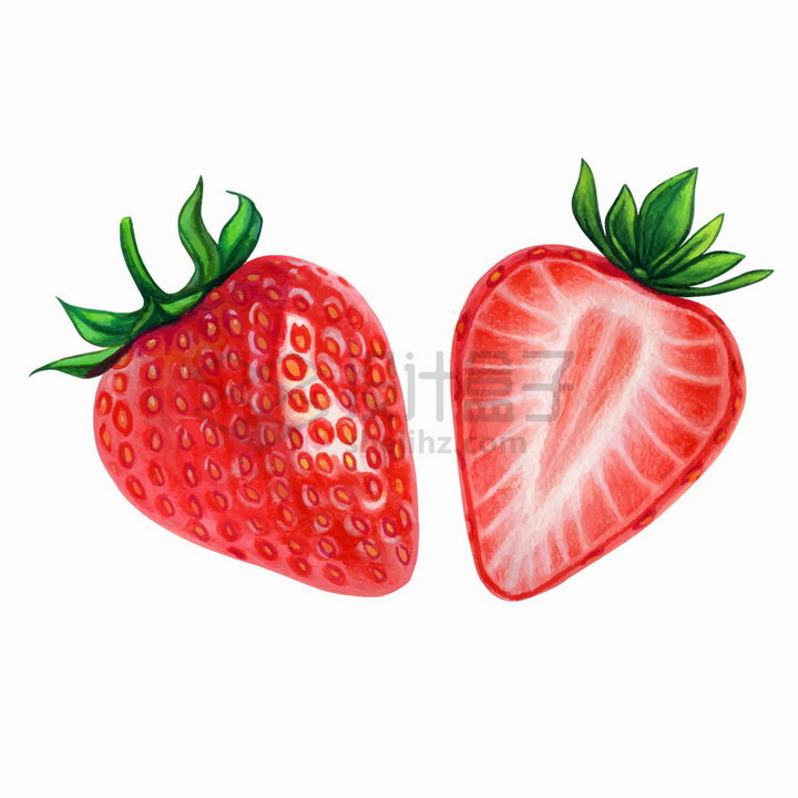 两颗切开的草莓美味水果水彩插画png图片免抠矢量素材 生活素材-第1张