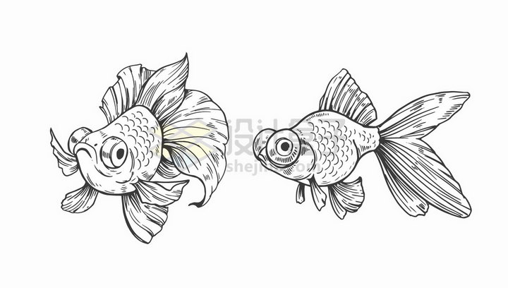 两条鱼简笔画图片