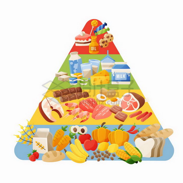 各种食物组成的营养金字塔png图片免抠矢量素材 生活素材-第1张