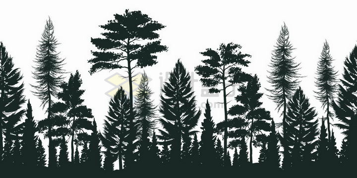 松树组成的树林剪影png图片免抠矢量素材 生物自然-第1张