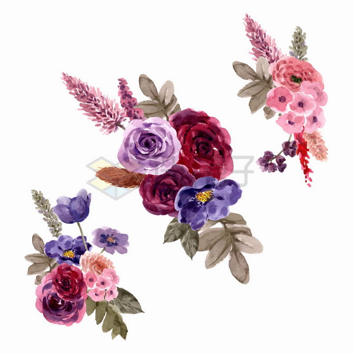 紫红色玫瑰花牡丹花番红花等花朵鲜花水彩画花卉png图片免抠矢量素材 生物自然-第1张