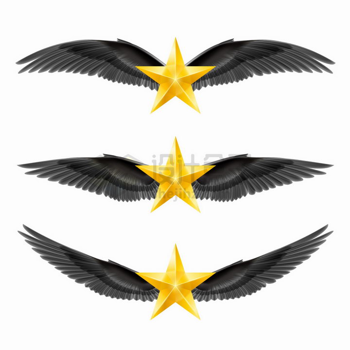 3款五角星和黑色的翅膀png图片免抠矢量素材 装饰素材-第1张