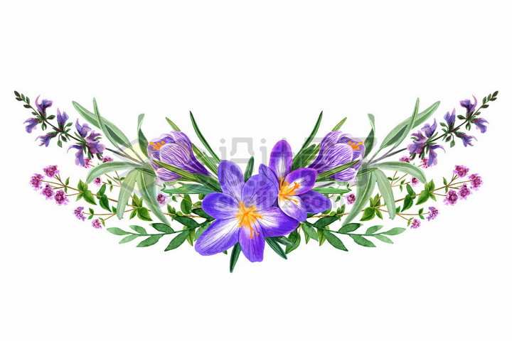 紫色桔梗绿叶野花鲜花花朵装饰彩绘插画png图片免抠矢量素材