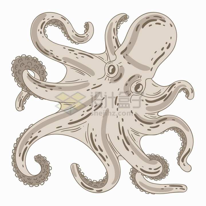 张牙舞爪的章鱼彩绘插画png图片免抠矢量素材