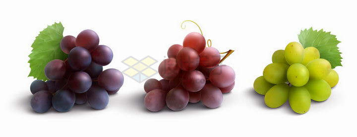 紫色红色和青色的葡萄png图片免抠矢量素材