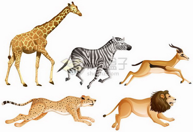 长颈鹿斑马羚羊猎豹狮子等非洲大草原野生动物png图片免抠矢量素材 生物自然-第1张