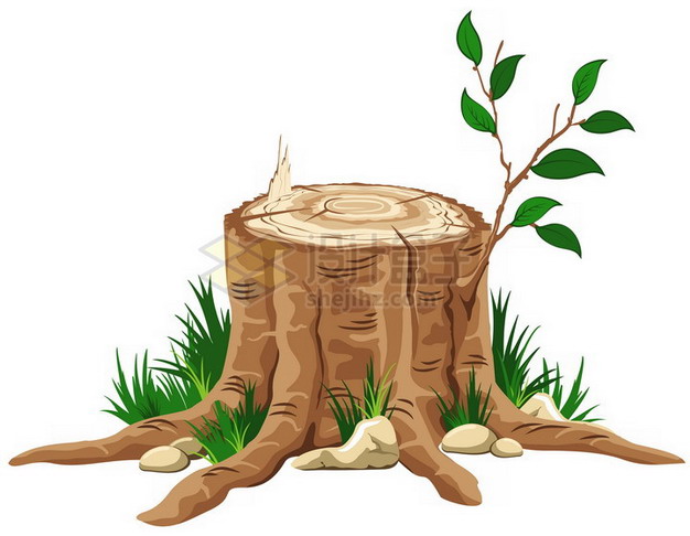 发芽的树桩png免抠图片素材 生物自然-第1张