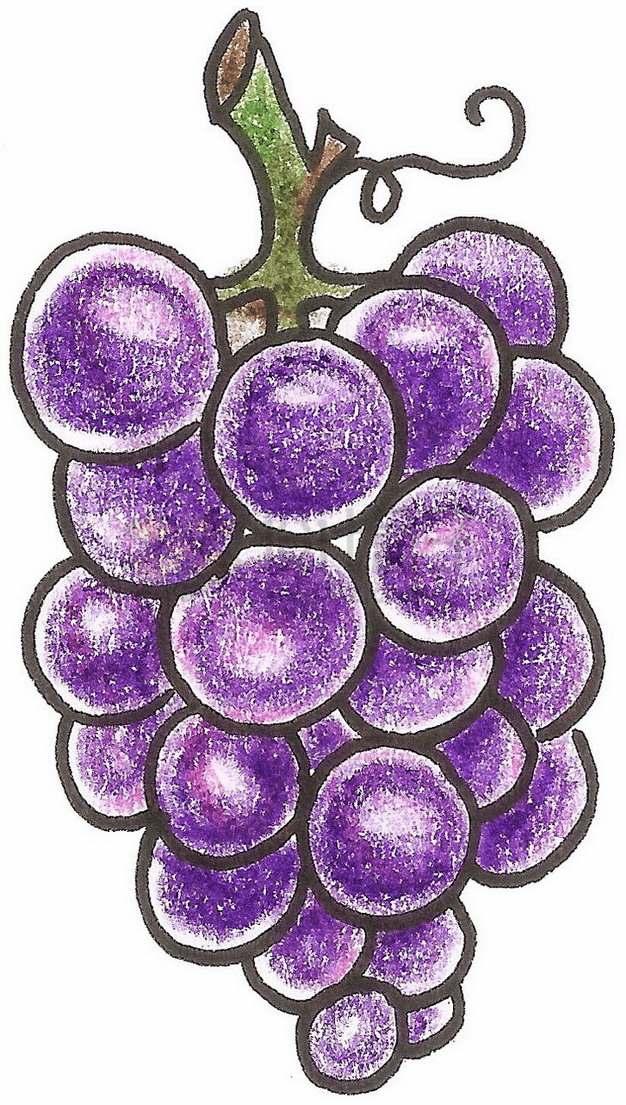 手绘涂鸦紫色葡萄png图片素材