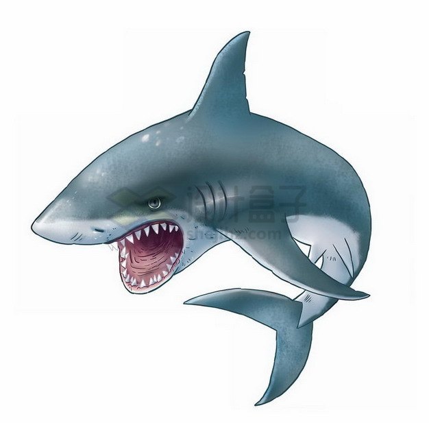 凶狠的鲨鱼大白鲨手绘卡通png图片素材