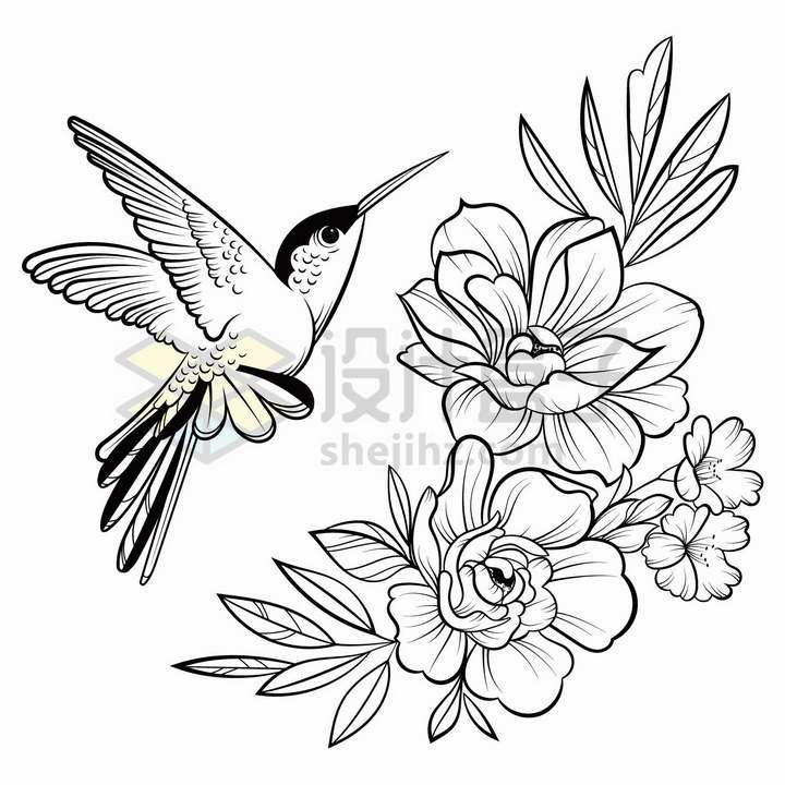 蜂鸟鲜花花朵手绘线条素描插画png图片免抠矢量素材