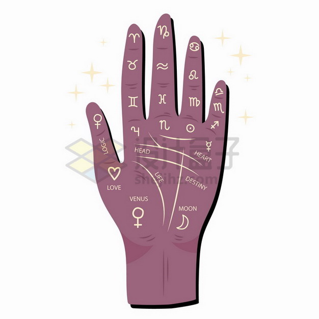 紫色手掌纹路图解png免抠图片素材 健康医疗-第1张