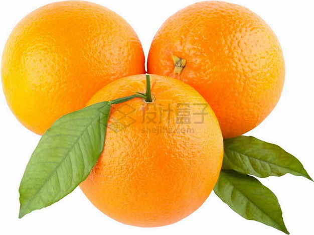 3颗完整带叶子的橙子赣南脐橙png图片素材 生活素材-第1张