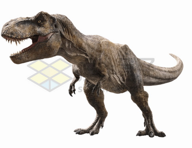 张牙舞爪的霸王龙特暴龙大型食肉恐龙png图片免抠素材 生物自然-第1张