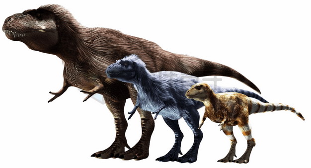 暴龙科的三种霸王龙等长毛恐龙大小对比png图片免抠素材 生物自然-第1张