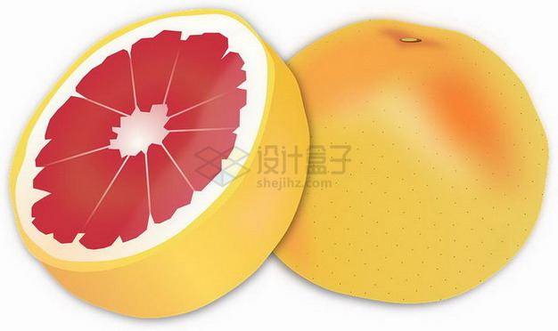 手绘切开的红心柚子坪山柚png图片素材 生活素材-第1张