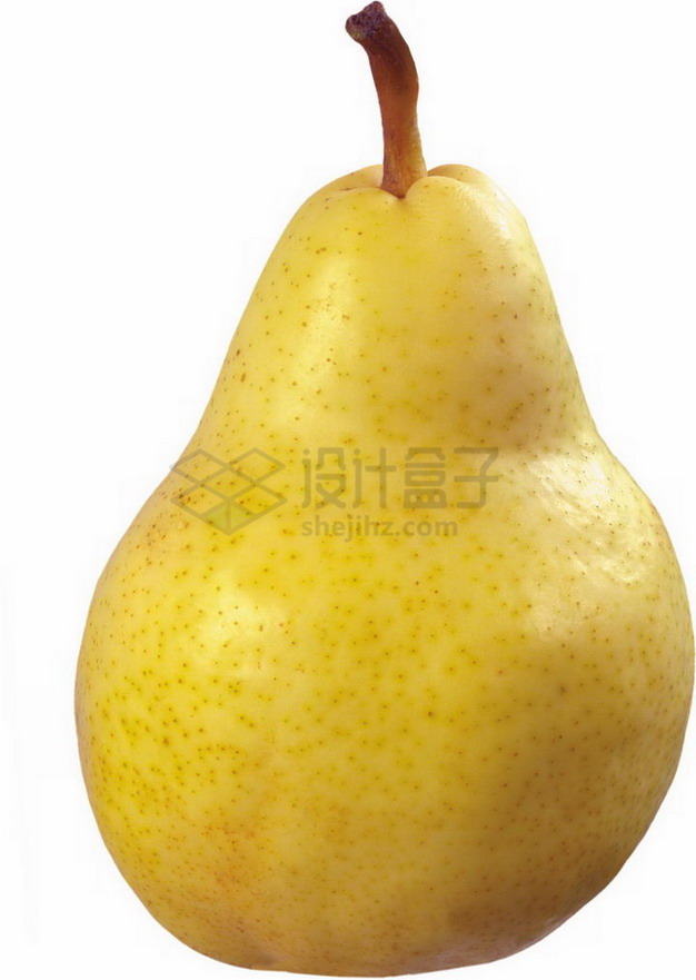 一颗完整的梨子库尔勒香梨png图片素材 生活素材-第1张