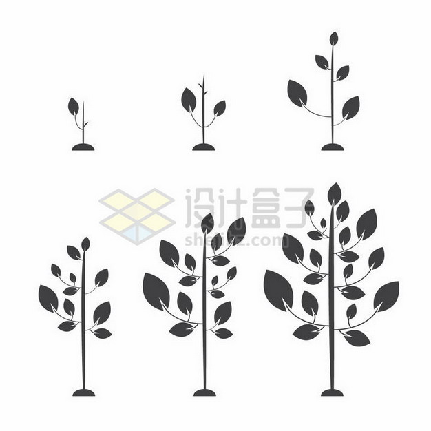 植物发芽成长的6个阶段植树节剪影png图片免抠矢量素材 生物自然-第1张