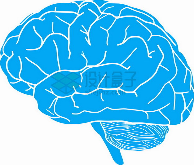 手绘蓝色人体大脑png图片素材 健康医疗-第1张