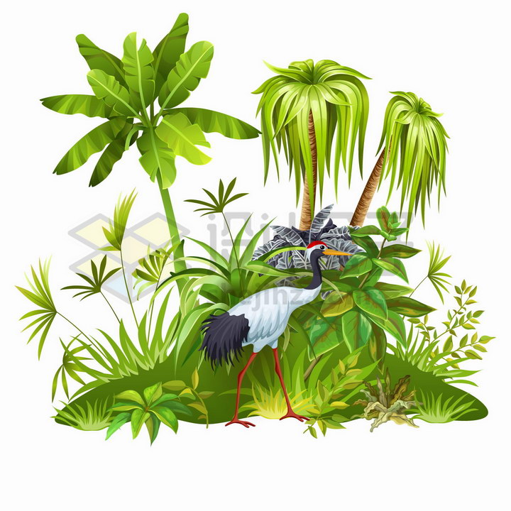 椰子树等热带树木灌木和仙鹤png图片免抠矢量素材 生物自然-第1张