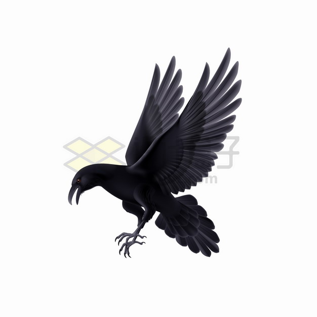 黑色乌鸦俯冲准备抓东西png图片素材 生物自然-第1张