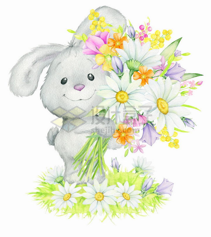 可爱卡通小兔子捧着各种雏菊鲜花水彩画彩绘png图片免抠矢量素材 生物自然-第1张