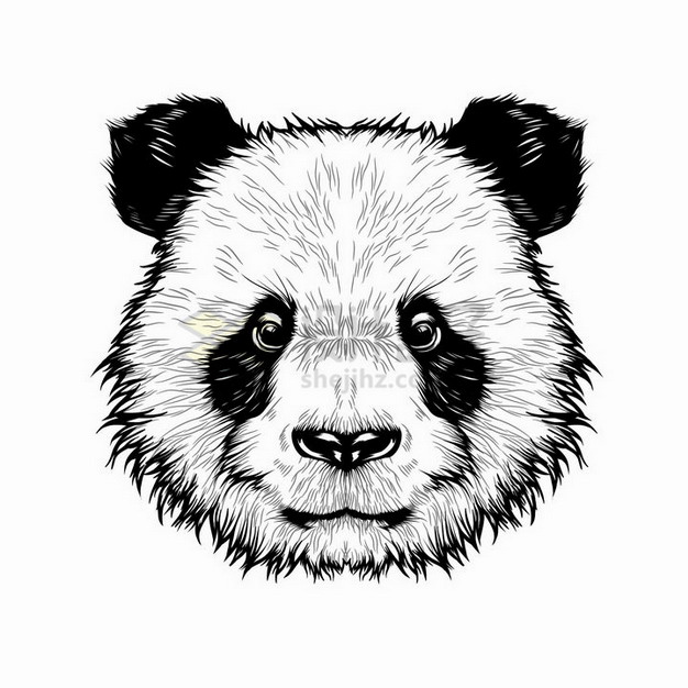 熊猫头素材抠图图片