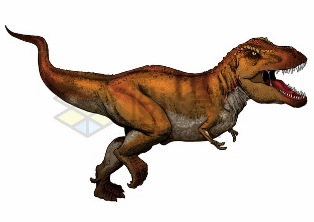 彩色插图霸王龙特暴龙大型食肉恐龙png图片免抠素材 生物自然-第1张
