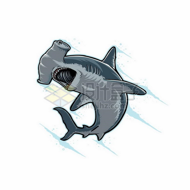 锤头双髻鲨卡通图片
